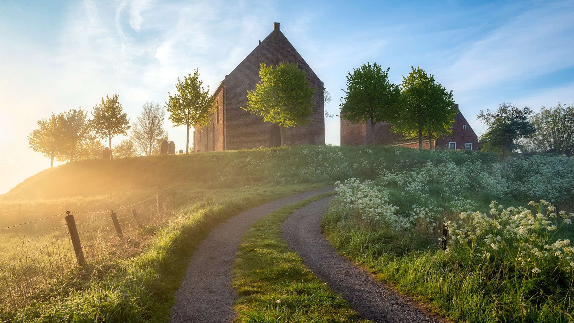 新神旧王的淬炼，字母哥的天神下凡与绿军的瞬间绞杀