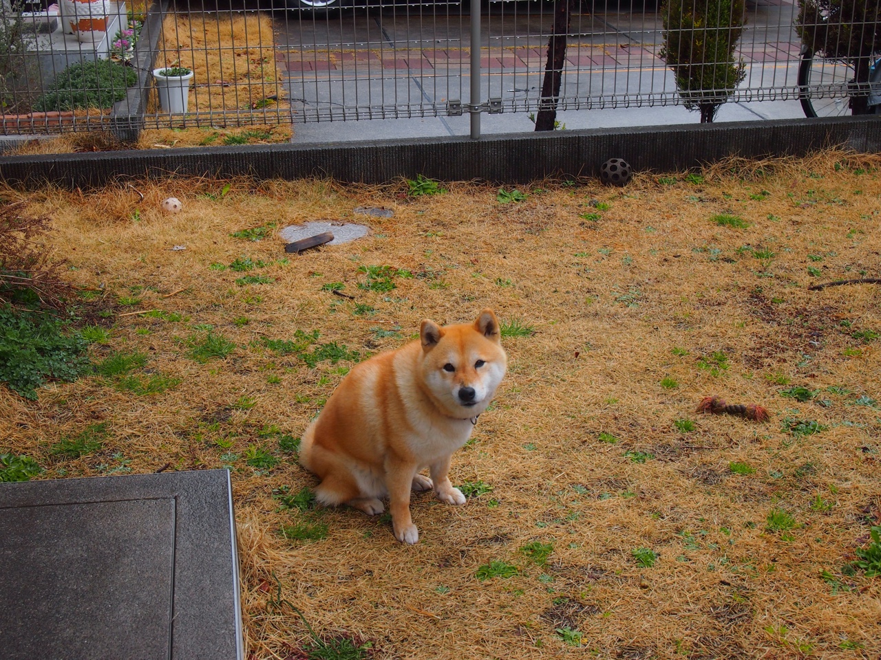 罗德里救赎之战,秘鲁逆境突围罗马关键赛