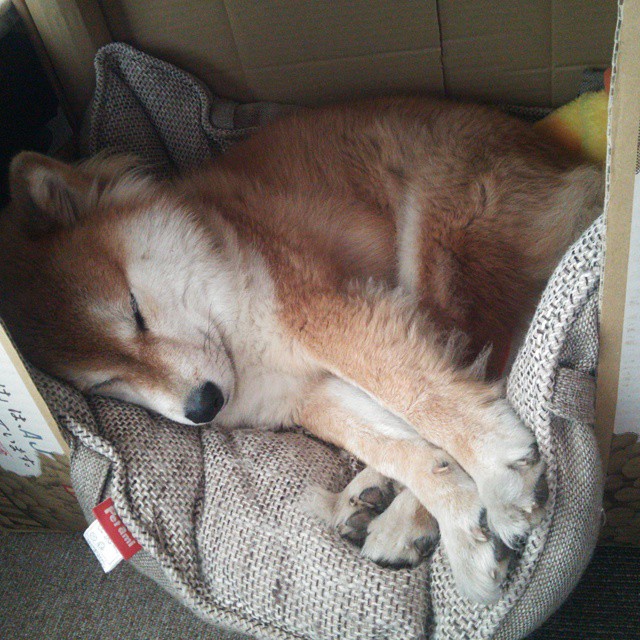 北欧童话再度上演?加维客串导演,瑞典球队友谊赛斩落利物浦的双重震惊