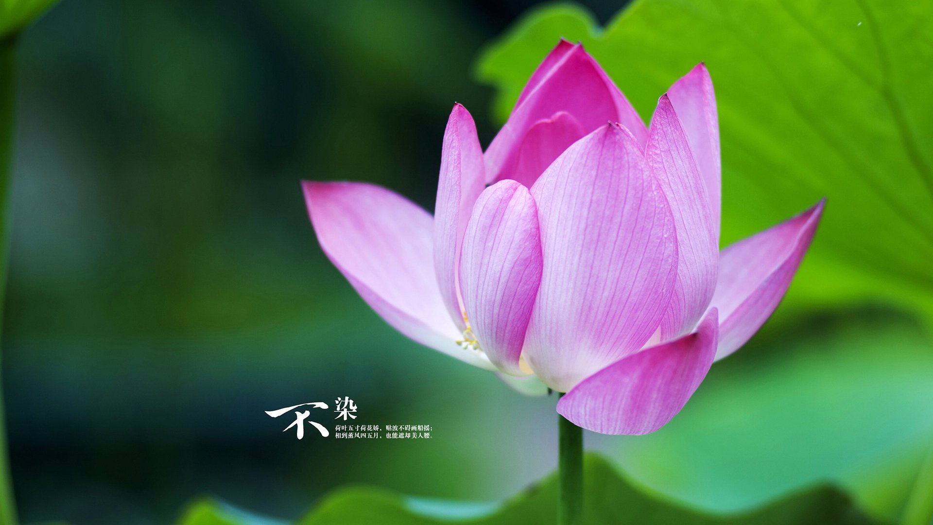 尤文雪战芬兰，迪亚斯用冰火两重奏在欧冠之夜完成加冕