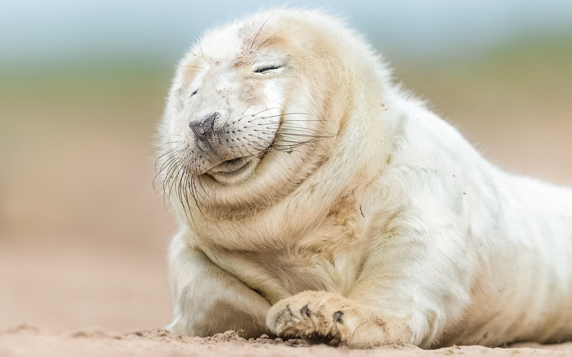 热血终章，他如何在两场决战中展现跨界统治力