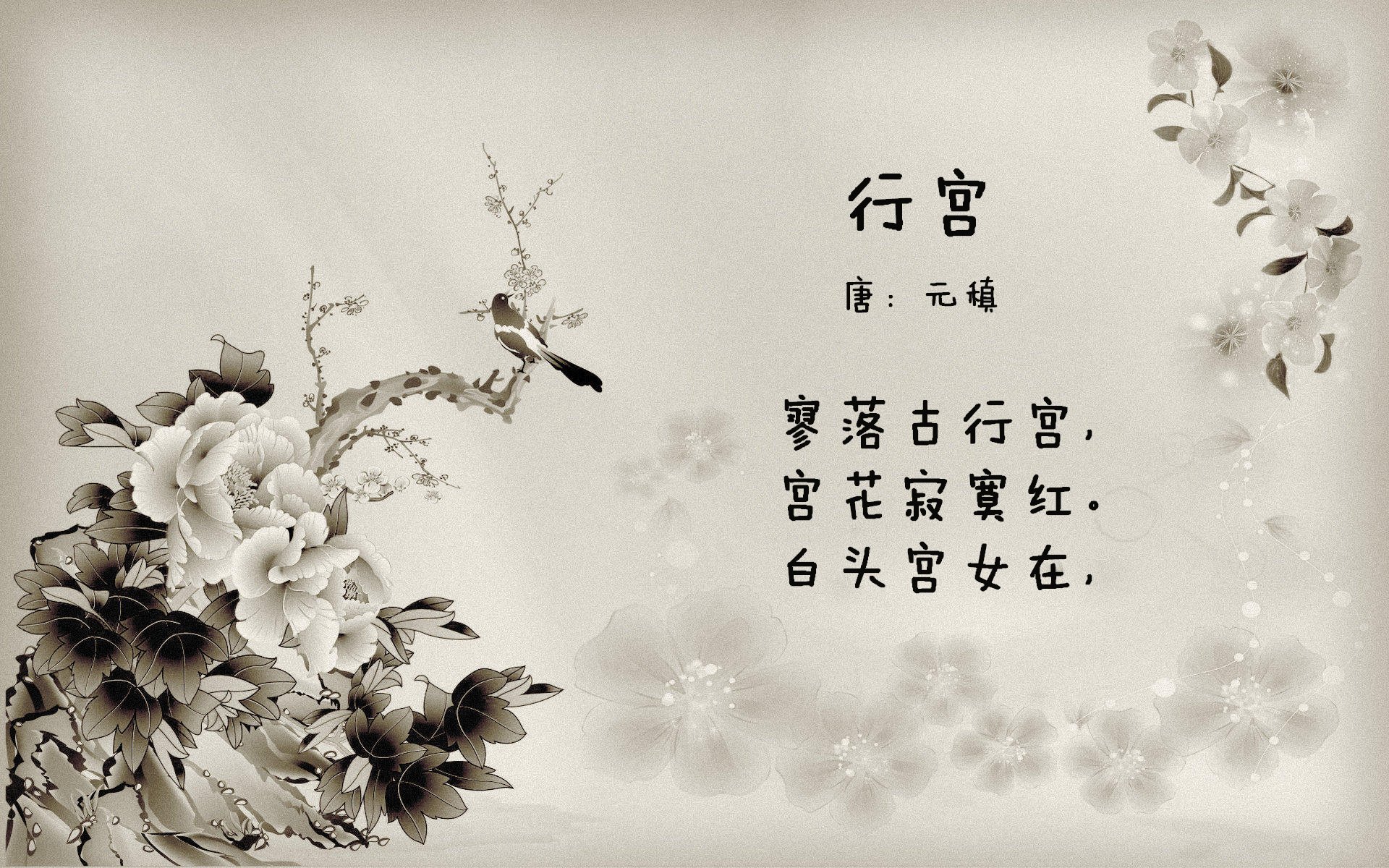 刺客与机器,哈弗茨的致命一刺与拉齐奥的精密运转