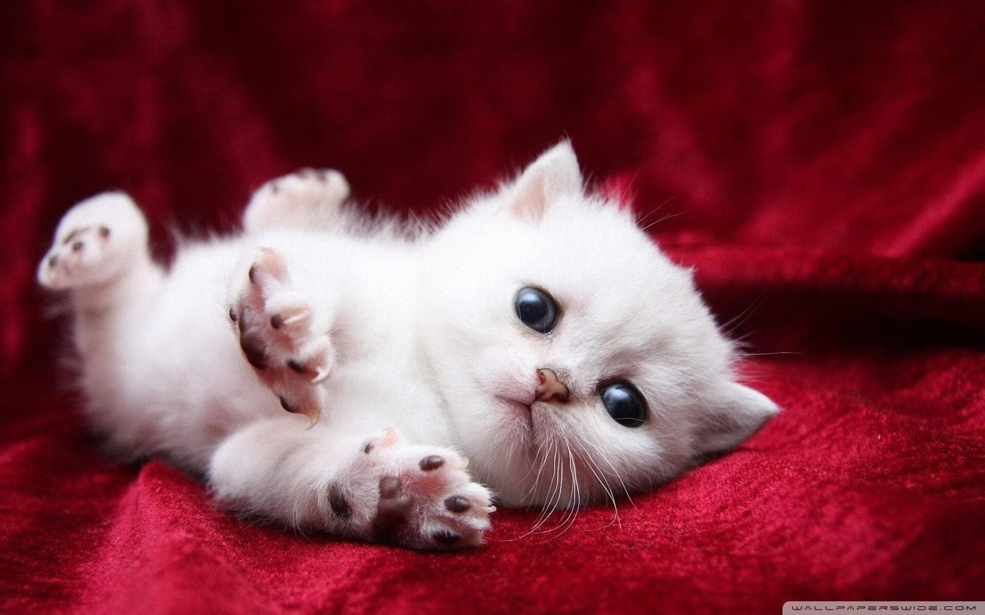 冰火双重奏,东契奇绝境封神,篮网怒涛重现窒息防守美学