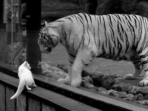 双重奇迹夜,芬兰的史诗绝杀与金玟哉的生涯定义之战