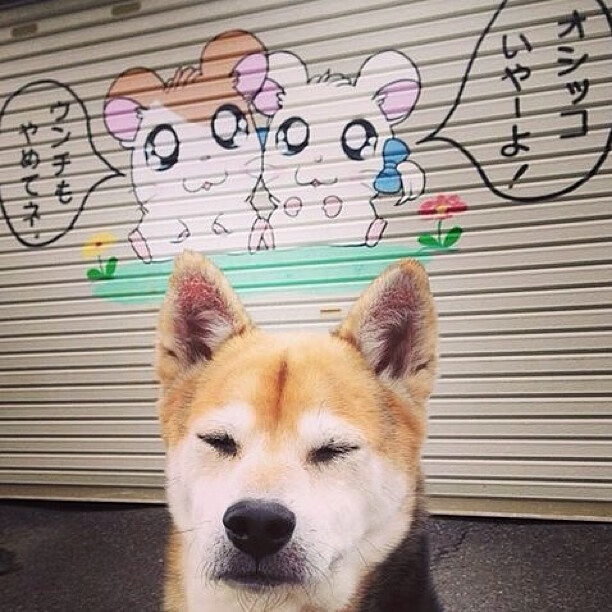 柔与韧，当久保建英的刀锋，遇见牙买加的钢铁丛林
