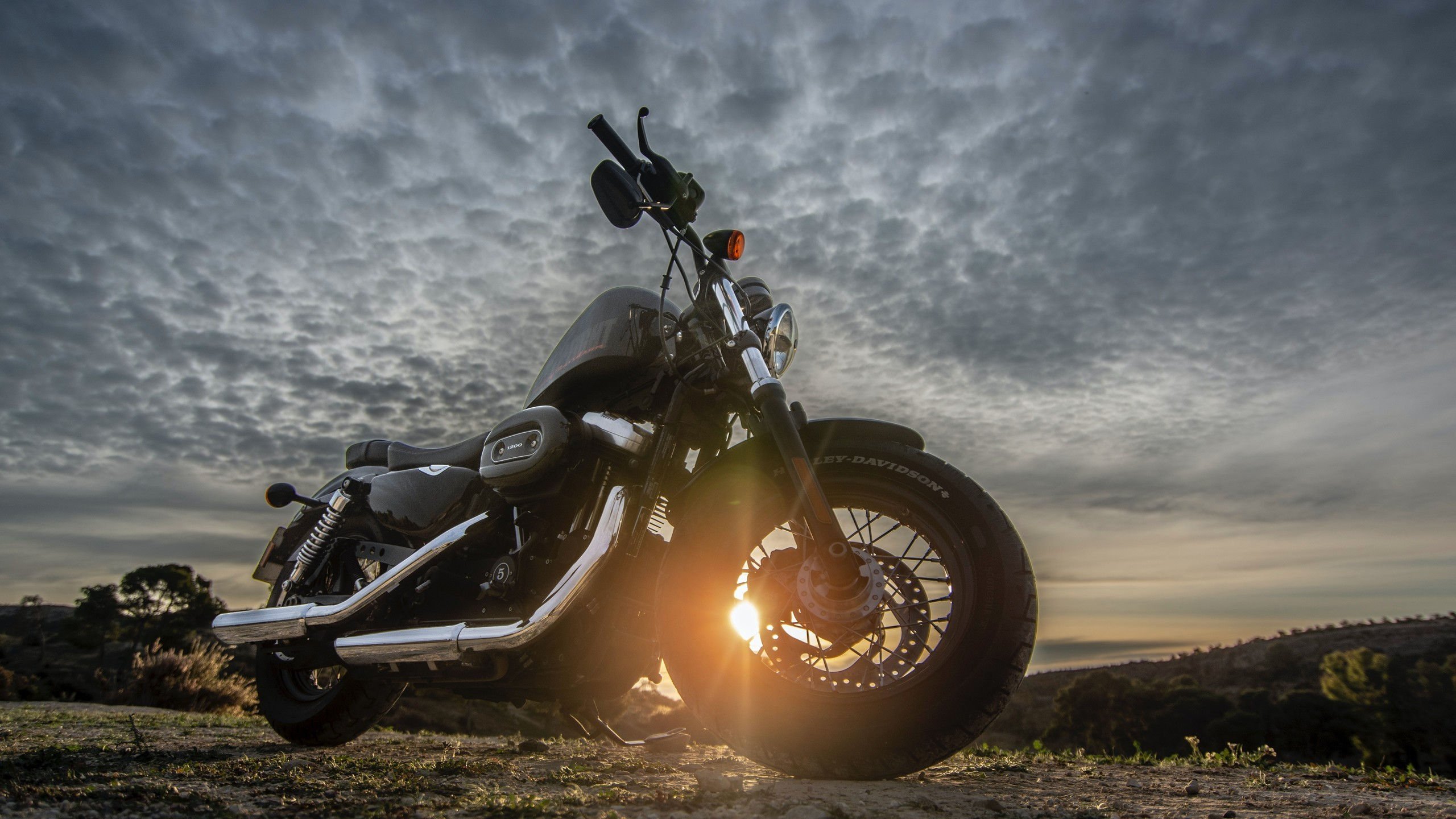 唯一战术革命，三笘薰如何率领澳大利亚碾压韩国，铸就2026世界杯D组传奇